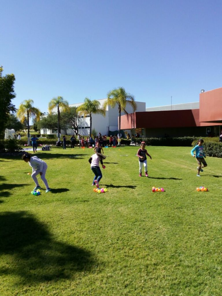 Papirolas 2017 CUNORTE