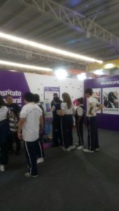 IEPC - Papirolas 2018