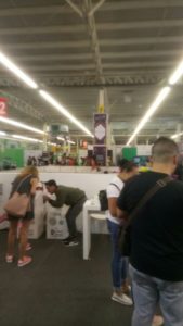 IEPC - Papirolas 2018