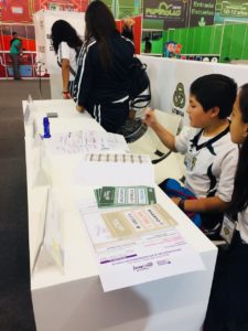 IEPC - Papirolas 2018