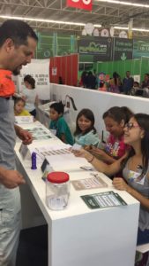 IEPC - Papirolas 2018