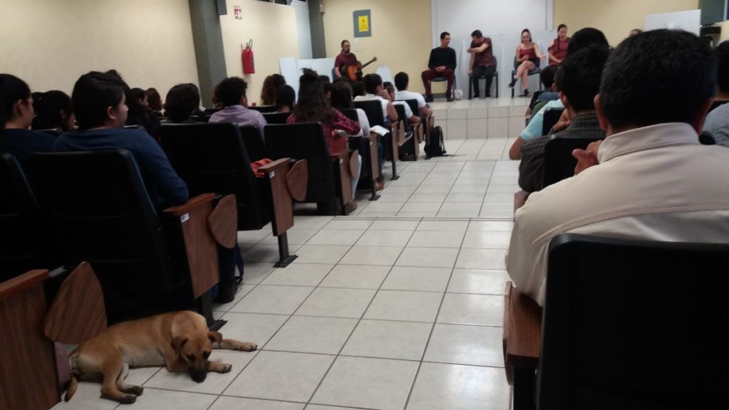 'Las Historias donde todos contamos'