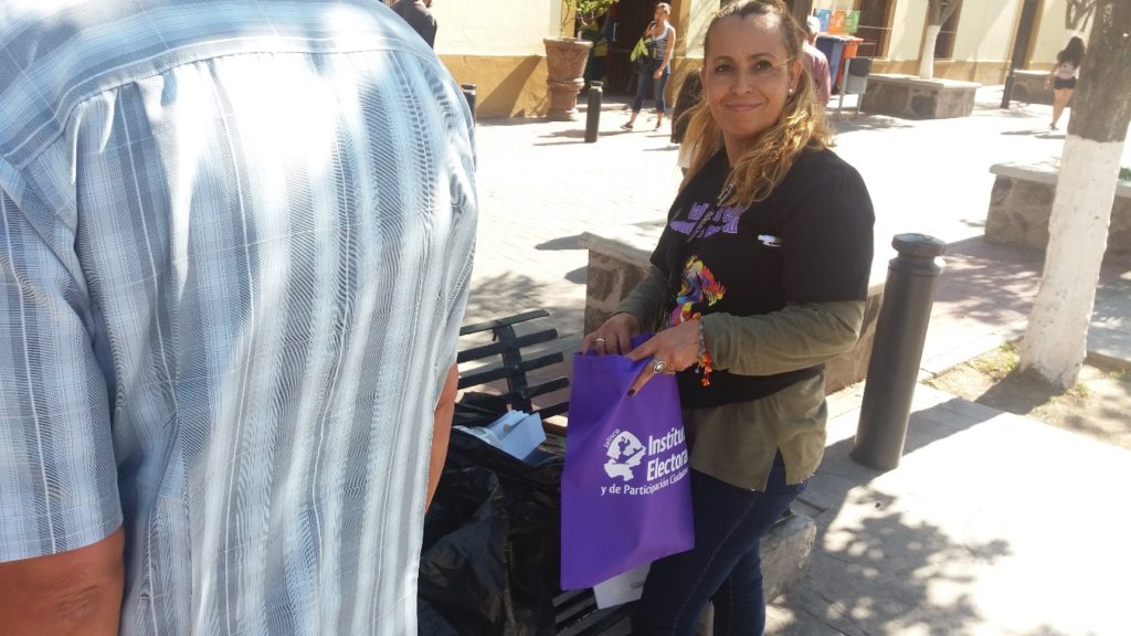 Brigadas de Promoción del voto libre e informado