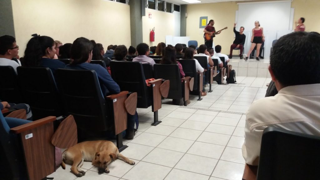 'Las Historias donde todos contamos'