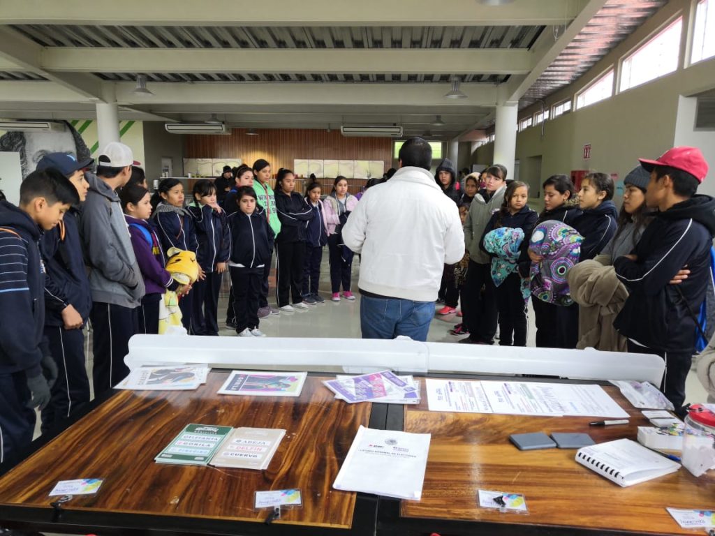 Papirolas en Colotlán